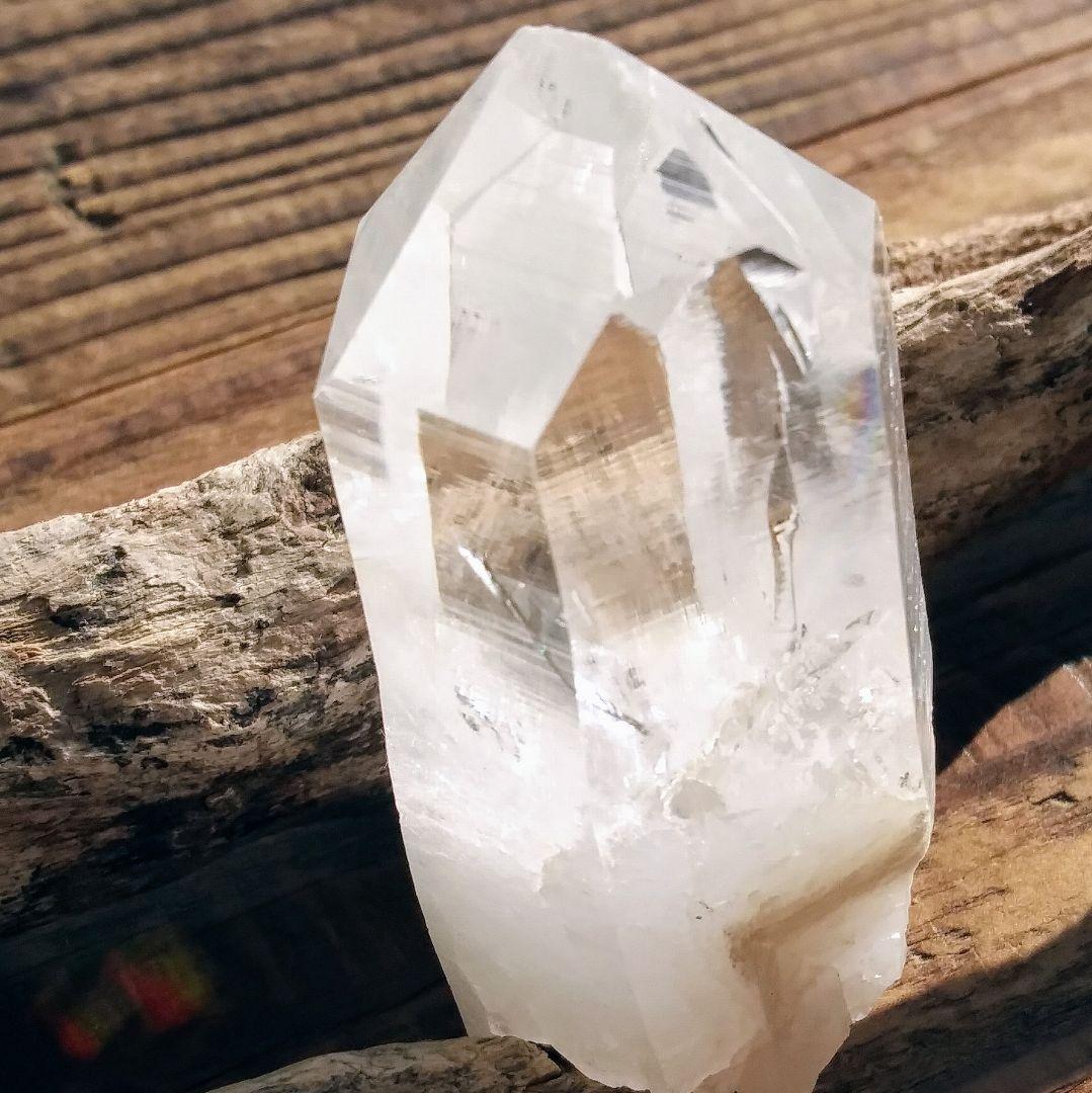 *虹入り* 希少 初期 コロンビアレムリアン イシス パストタイムリンク