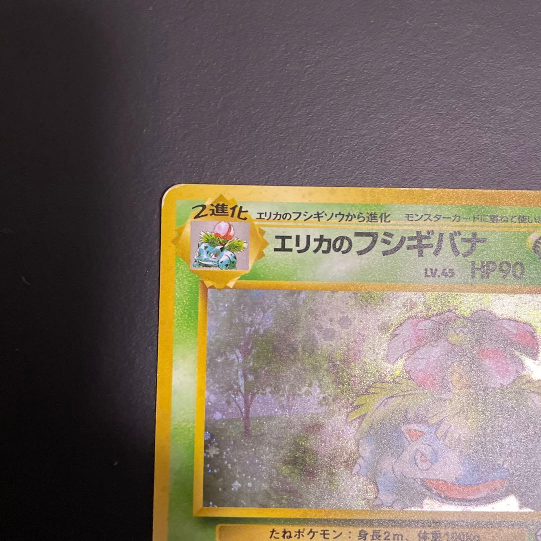 エリカのフシギバナ 旧裏