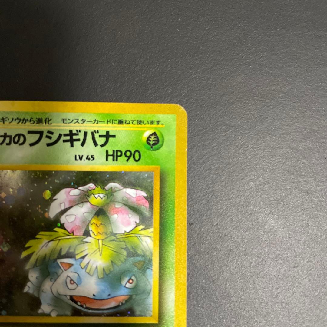 エリカのフシギバナ 旧裏