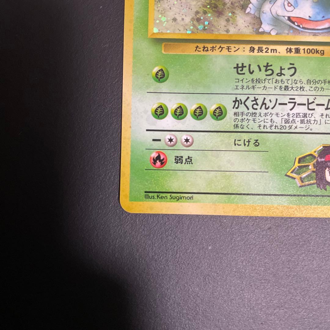 エリカのフシギバナ 旧裏