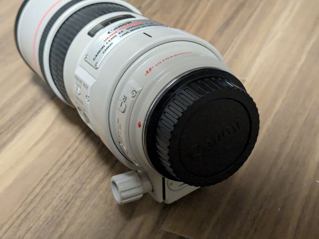 Canon EF 300mm f/4 L IS USM 単焦点望遠レンズ