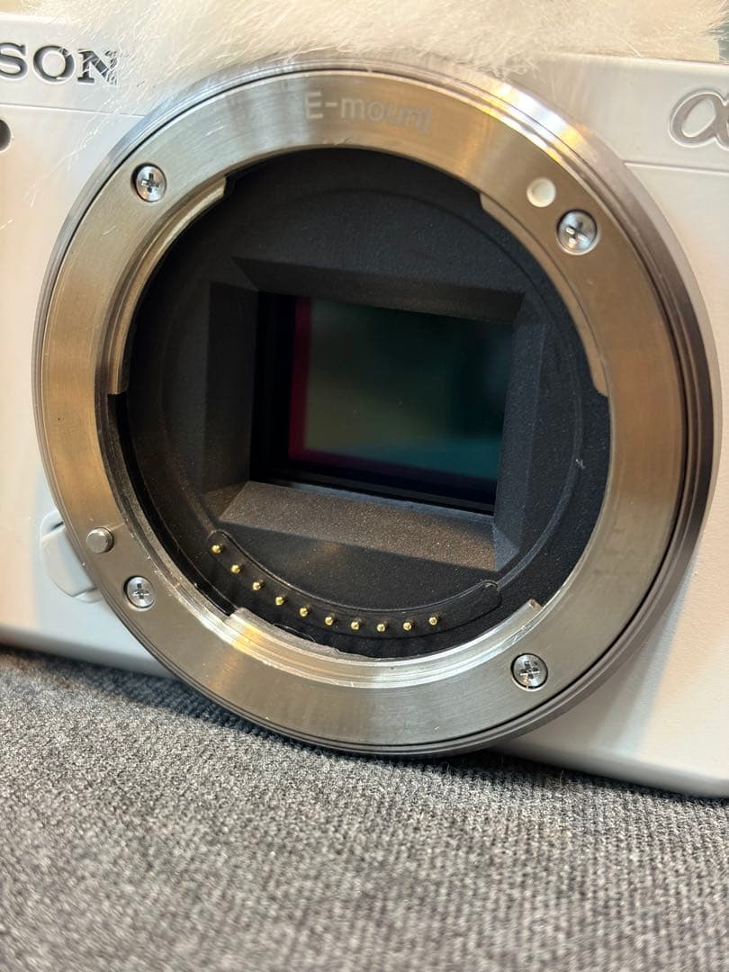 SONY Z E-10 ミラーレスカメラ レンズキット