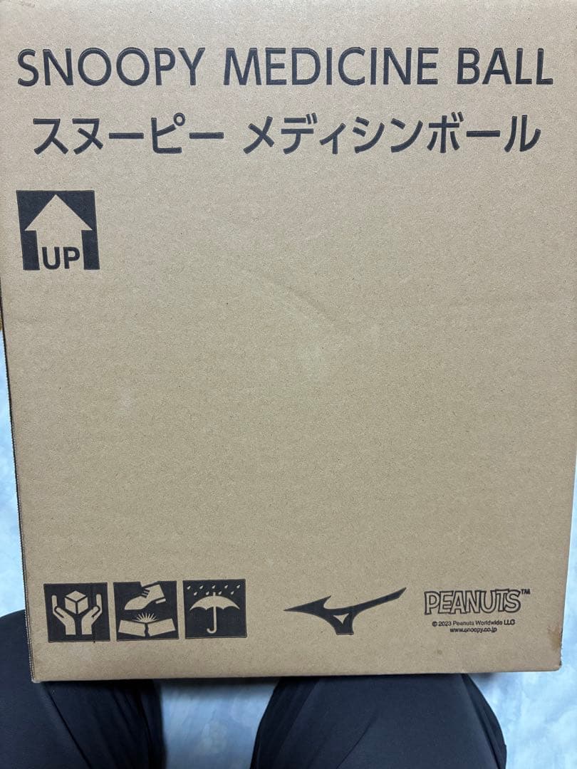 スヌーピー　メディシンボール