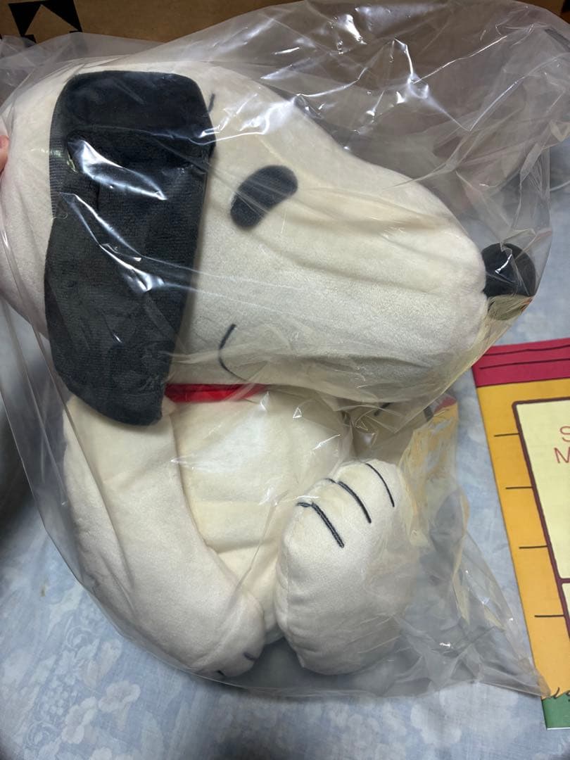 スヌーピー　メディシンボール