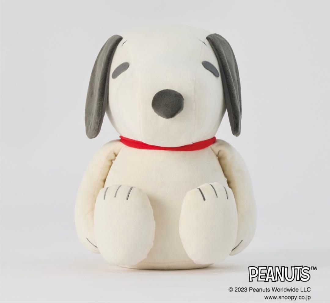 スヌーピー　メディシンボール
