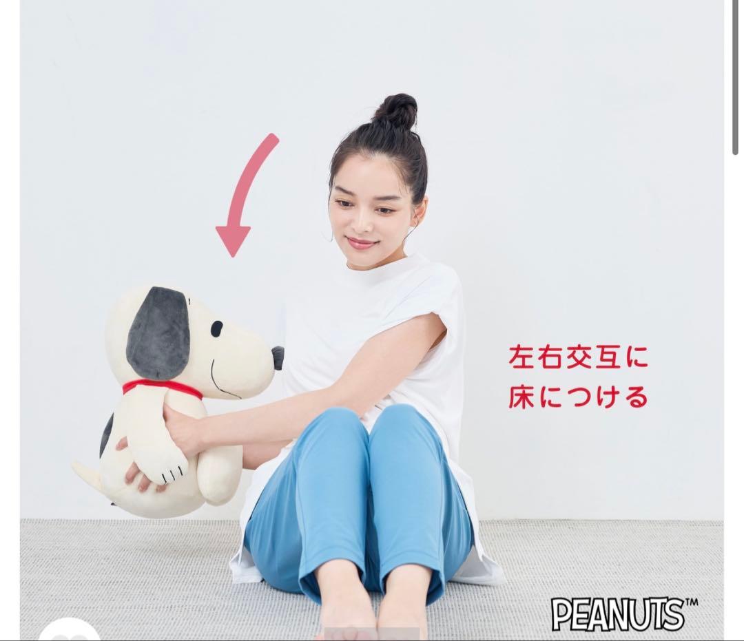 スヌーピー　メディシンボール