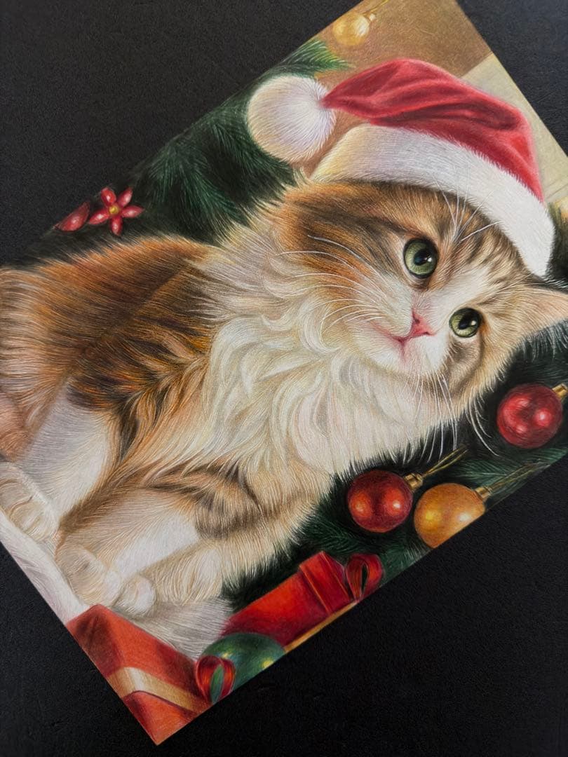 色鉛筆画A4 ノルウェージャンフォレストキャット101