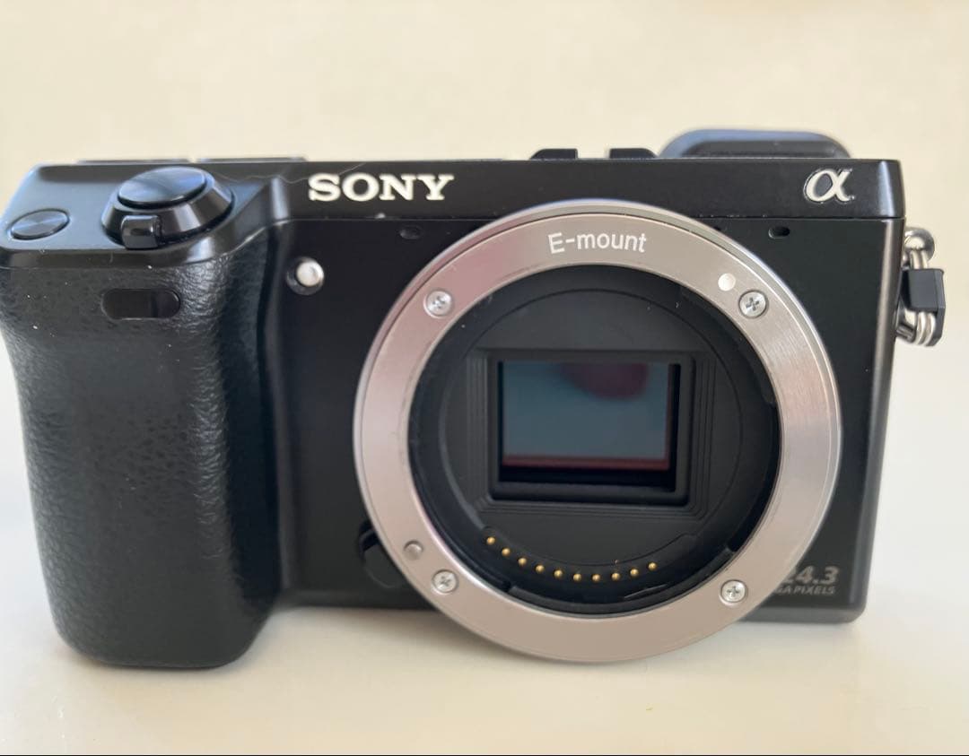 専用 カメ　SONY NEX-7 ミラーレス一眼