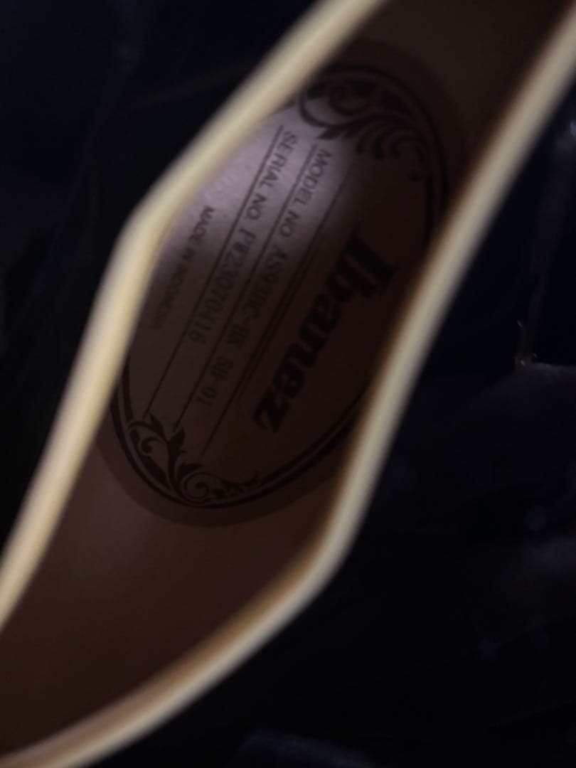Ibanez エレキギター ブラック　as93bc-bk