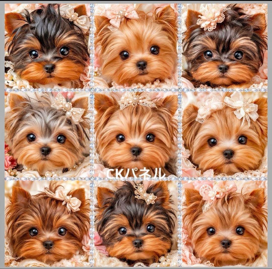 ゆみ様 リクエスト