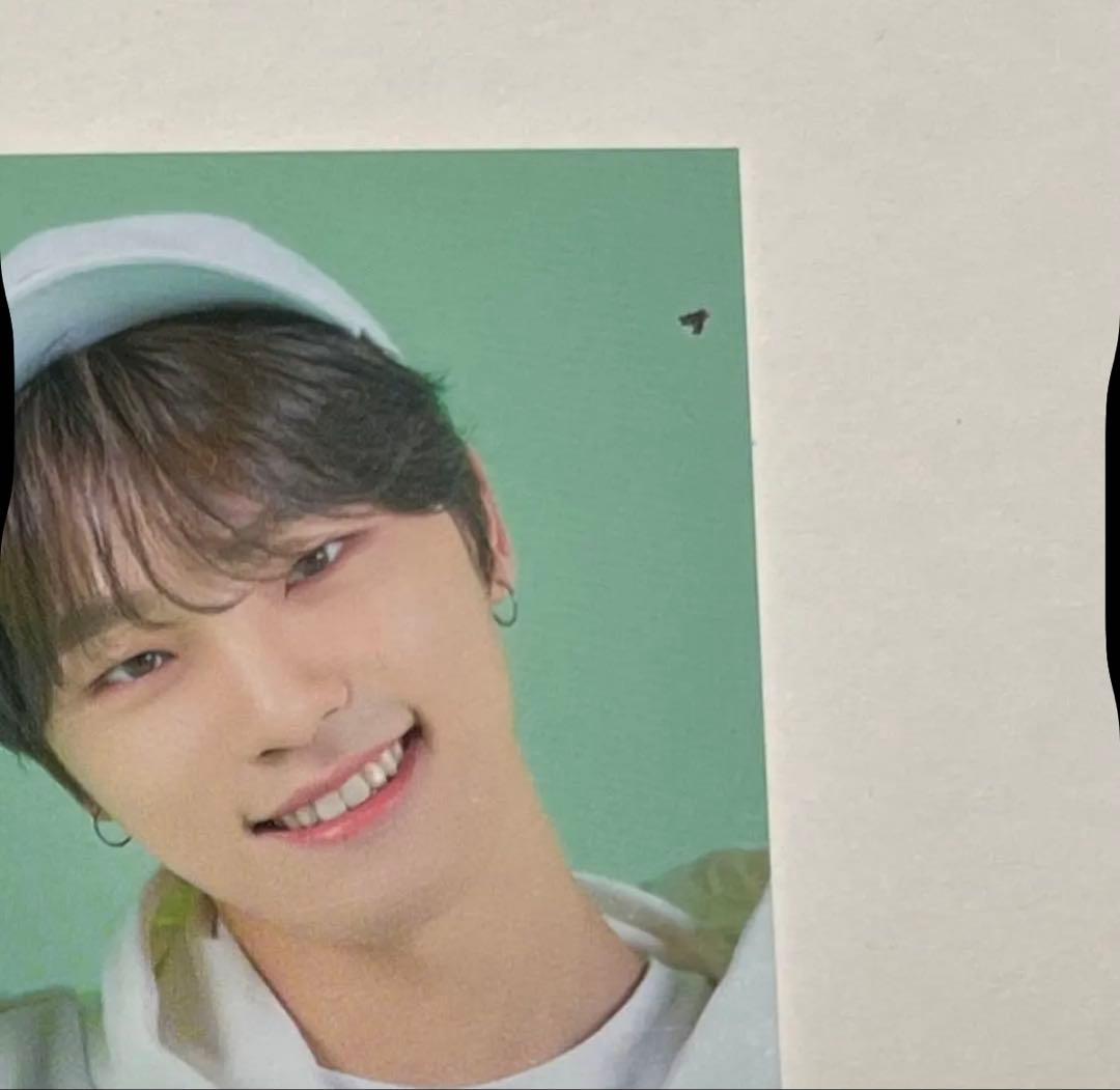 SEVENTEEN セブチ ディノ トレカ バインダー 125点 まとめ売り