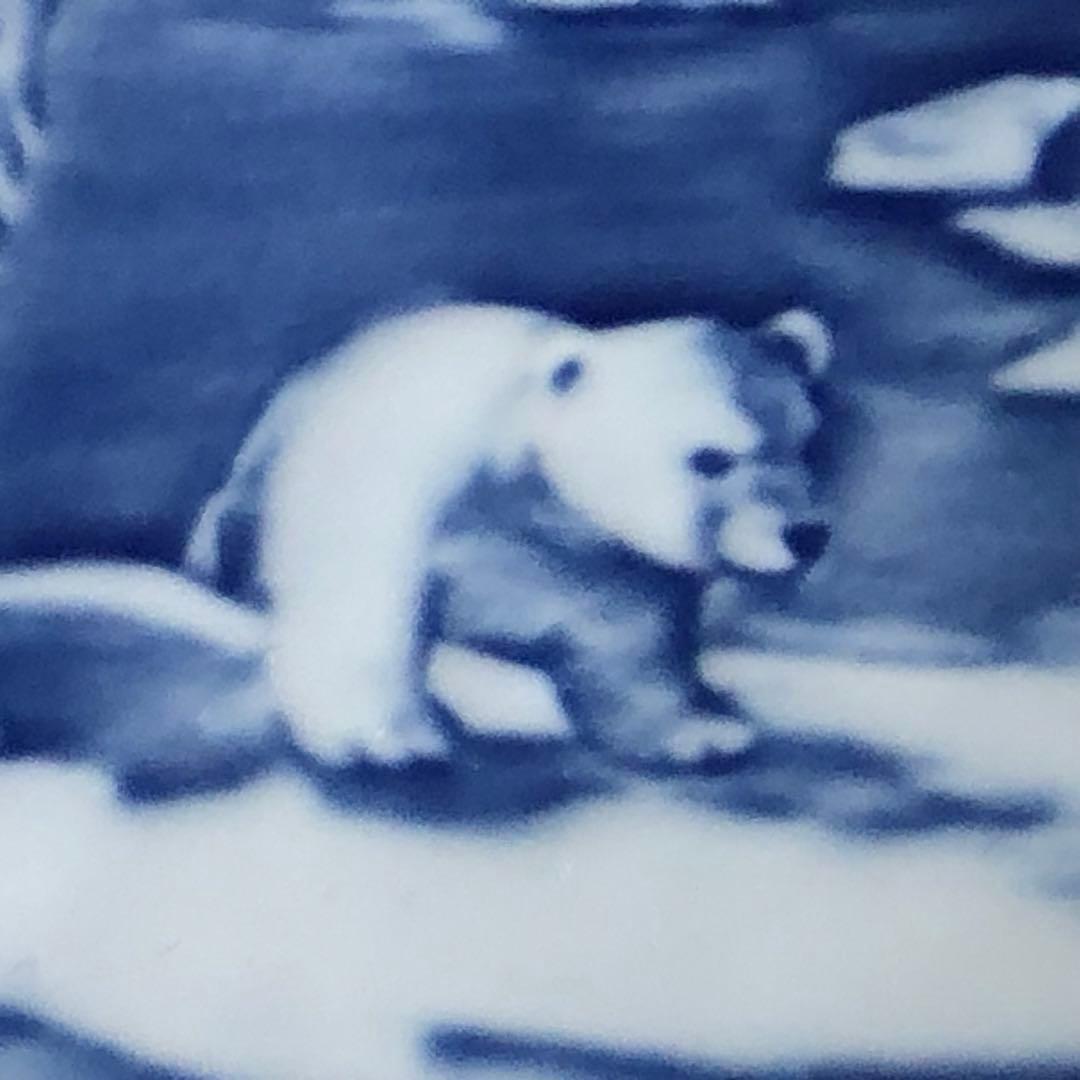 ロイヤルコペンハーゲン　イヤープレート 2010年