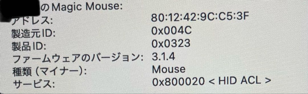 Apple Magic Mouse（USB-C接続モデル）