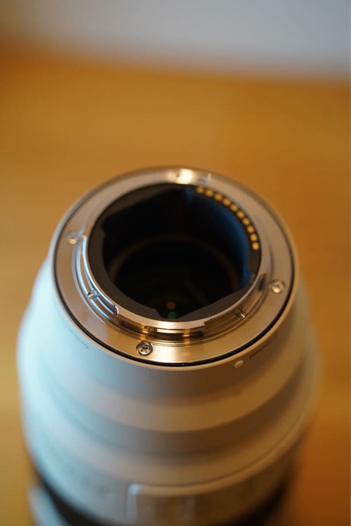 レンズ(ズーム) Sony FE 70-200mm F4 Macro G OSS II