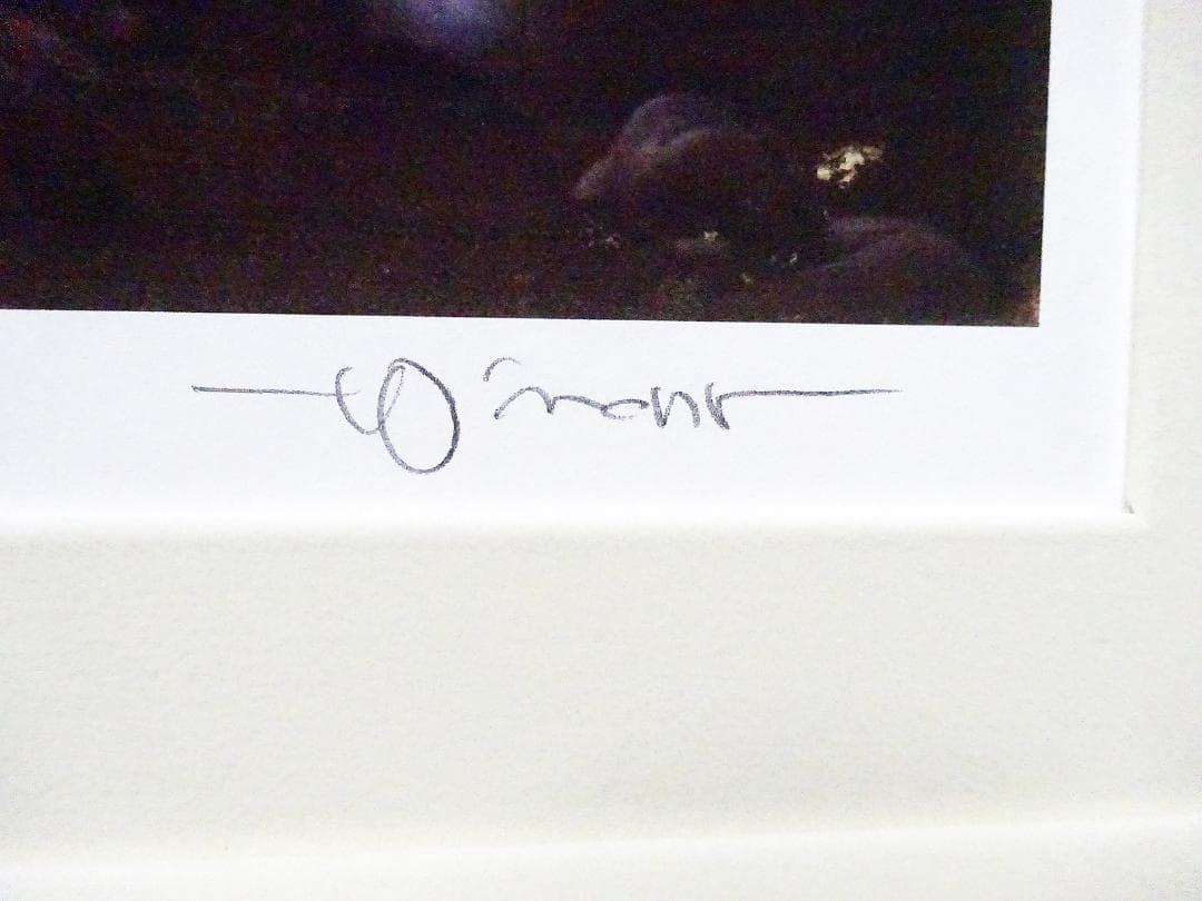 #天野喜孝 #オーダー版画② #吸血鬼ハンターD #共箱 #アールビバン保証書