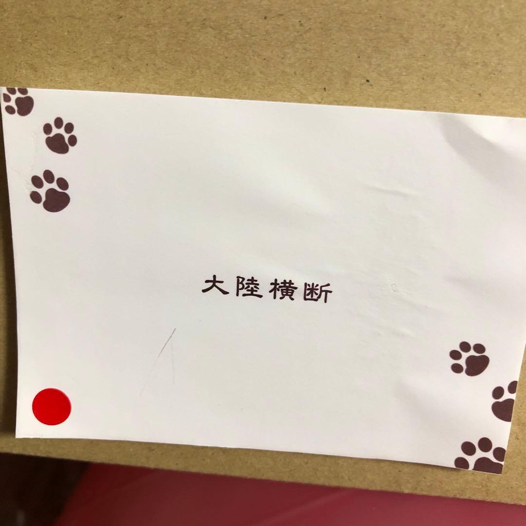 開運絵画　ねこ船　レア