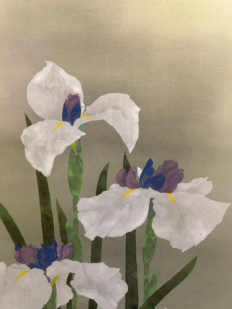 Kirari 筆者　大野草思　菖蒲　 種別 尺五巾立