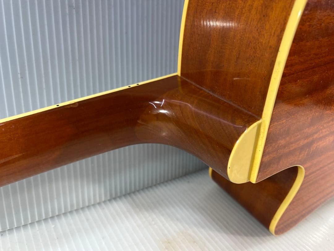 Fina FAW-800 ドレッドノート アコースティック ギター