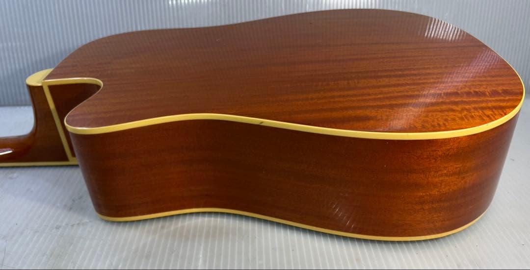 Fina FAW-800 ドレッドノート アコースティック ギター