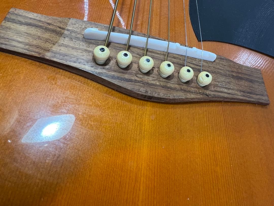 Fina FAW-800 ドレッドノート アコースティック ギター