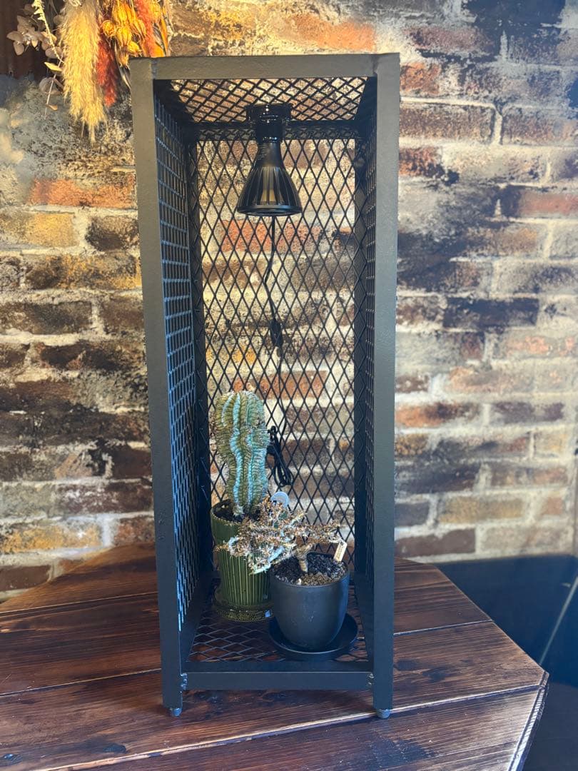 300×300mm インダストリアルな植物棚　アイアンシェル