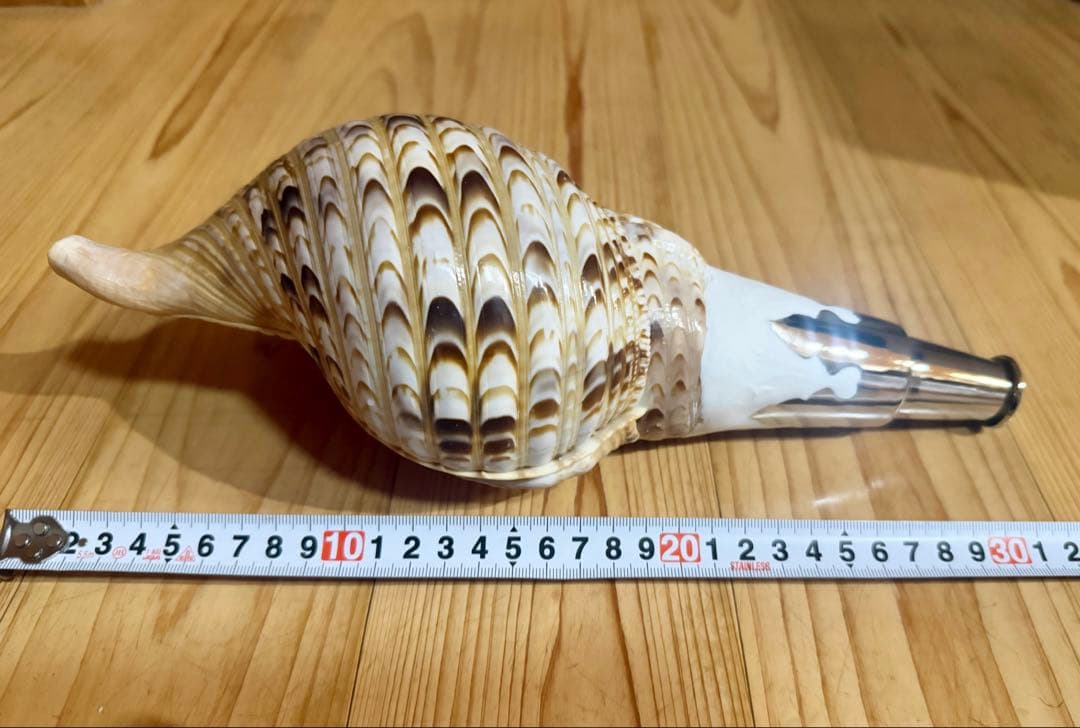 コンパクト修験道法螺貝　山伏　密教　魔除け　熊よけ❣️