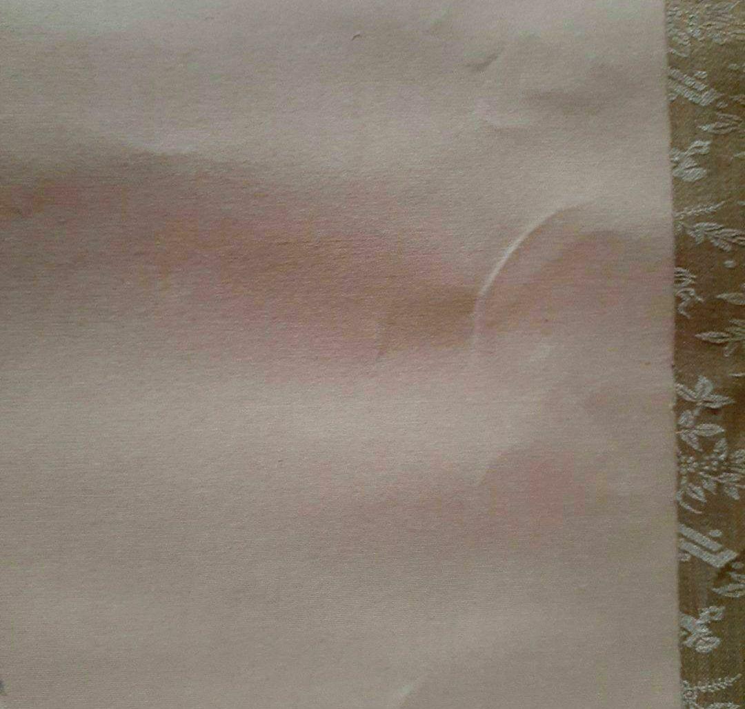 掛け軸/秋風景？/富士？