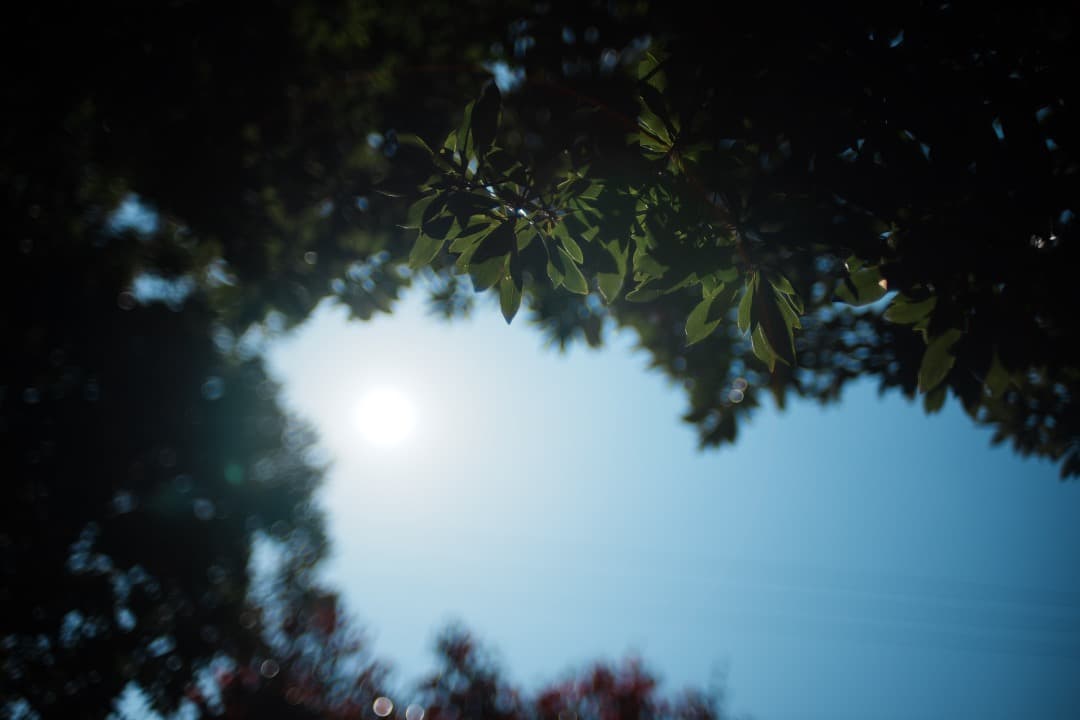 【美品】動作◎ ニコン　Ai Nikkor 35mm F1.4 559