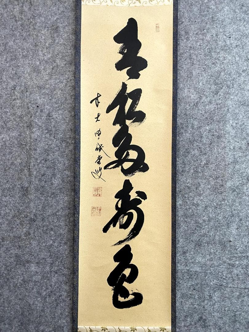 藤井誡堂『青松多寿色』共箱 茶掛 茶道具 臨済宗大徳寺515世住職 三玄院 掛軸