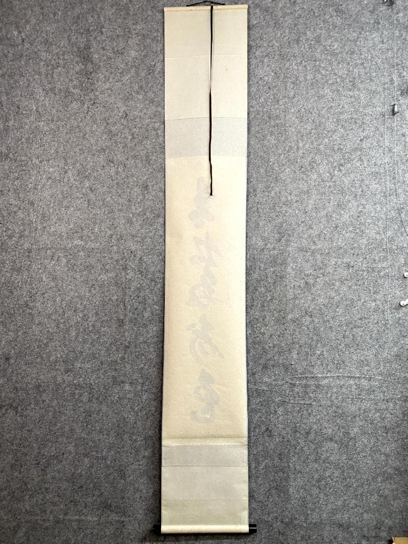 藤井誡堂『青松多寿色』共箱 茶掛 茶道具 臨済宗大徳寺515世住職 三玄院 掛軸