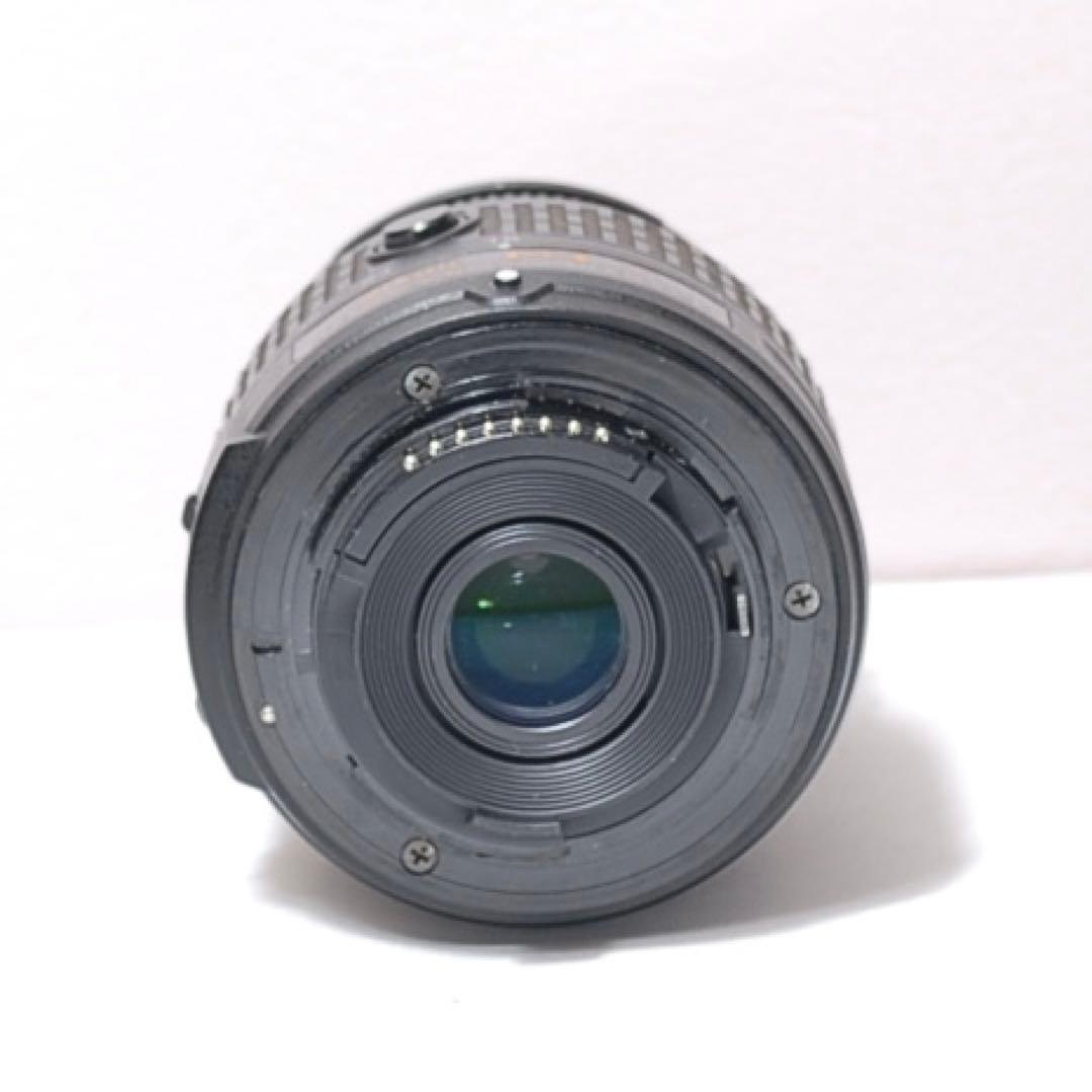 桜撮影に✨Nikon D3100✨シングルレンズ✨軽量モデル✨入門モデル