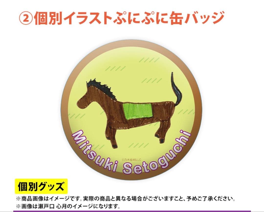 乃木坂46 2026年福袋A B C 19点　柴田柚菜