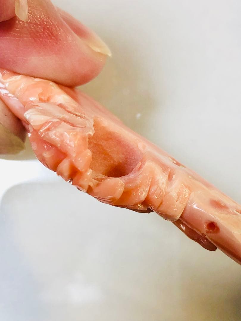 NO-889 天然彫刻本珊瑚ルース　16.54g