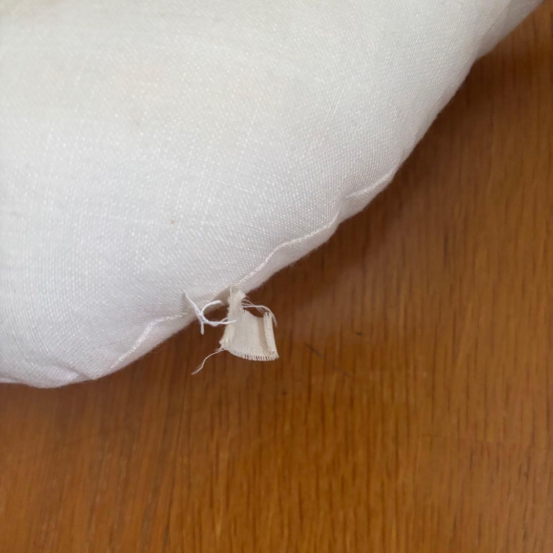 Tamar Mogendorff(タマル　モーゲンドルフ）　スワンオブジェ