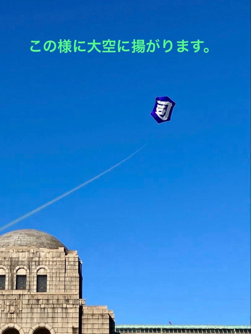 凧　和凧　カイト　実際に揚がる　手描き　日本の六角凧　揚げ方の説明書付