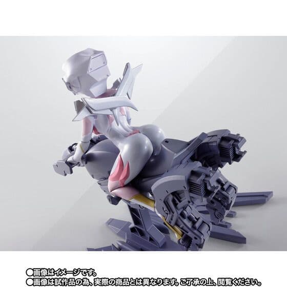 ストライクフリーダム弐式&プラウドディフェンダー＆ラクス・クライン　３点セット