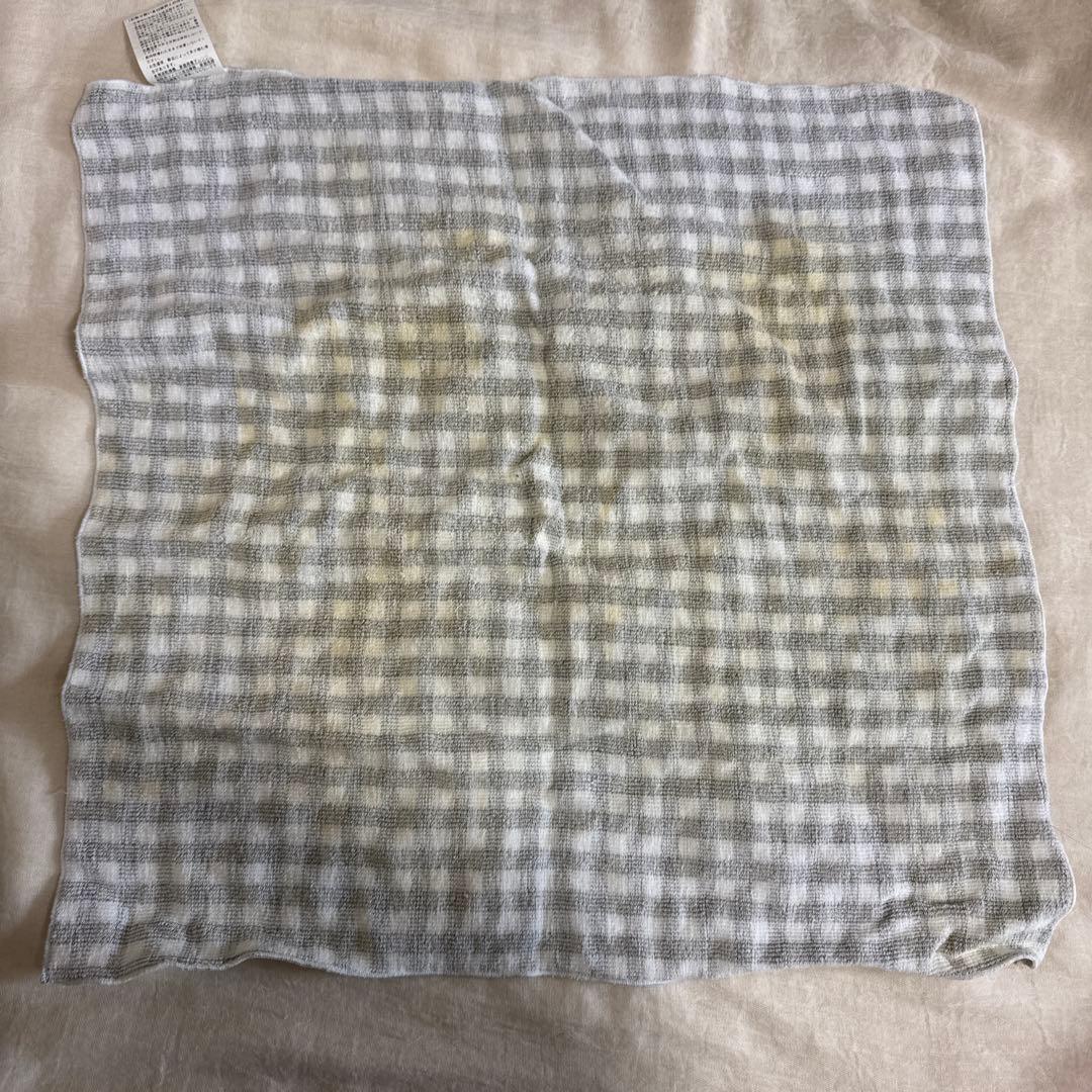 プラグインアース　PRO 株式会社　レジナ　電磁波　対策　タオル　2つセット