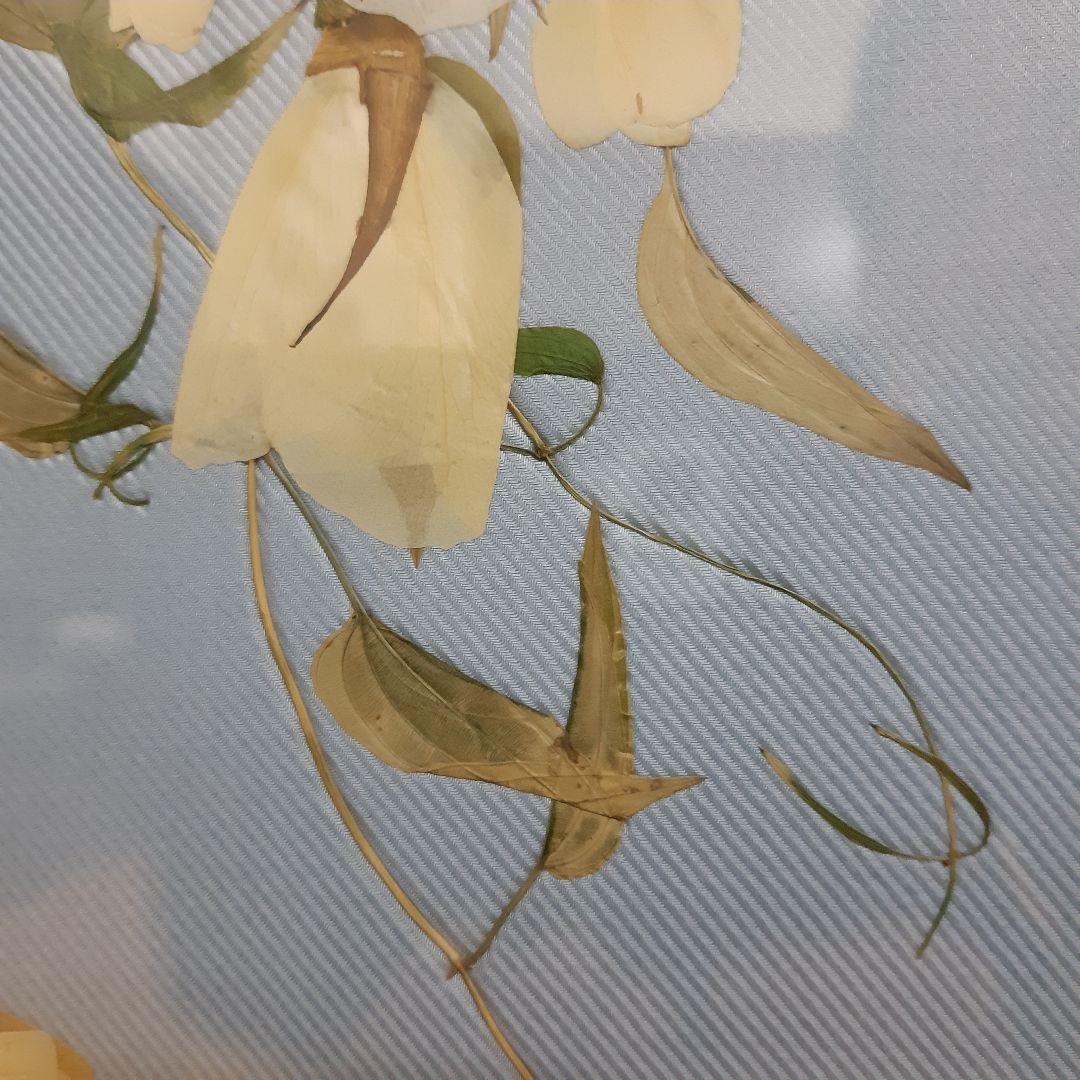 押し花アート フレーム付き　 縦65cm　横40cm