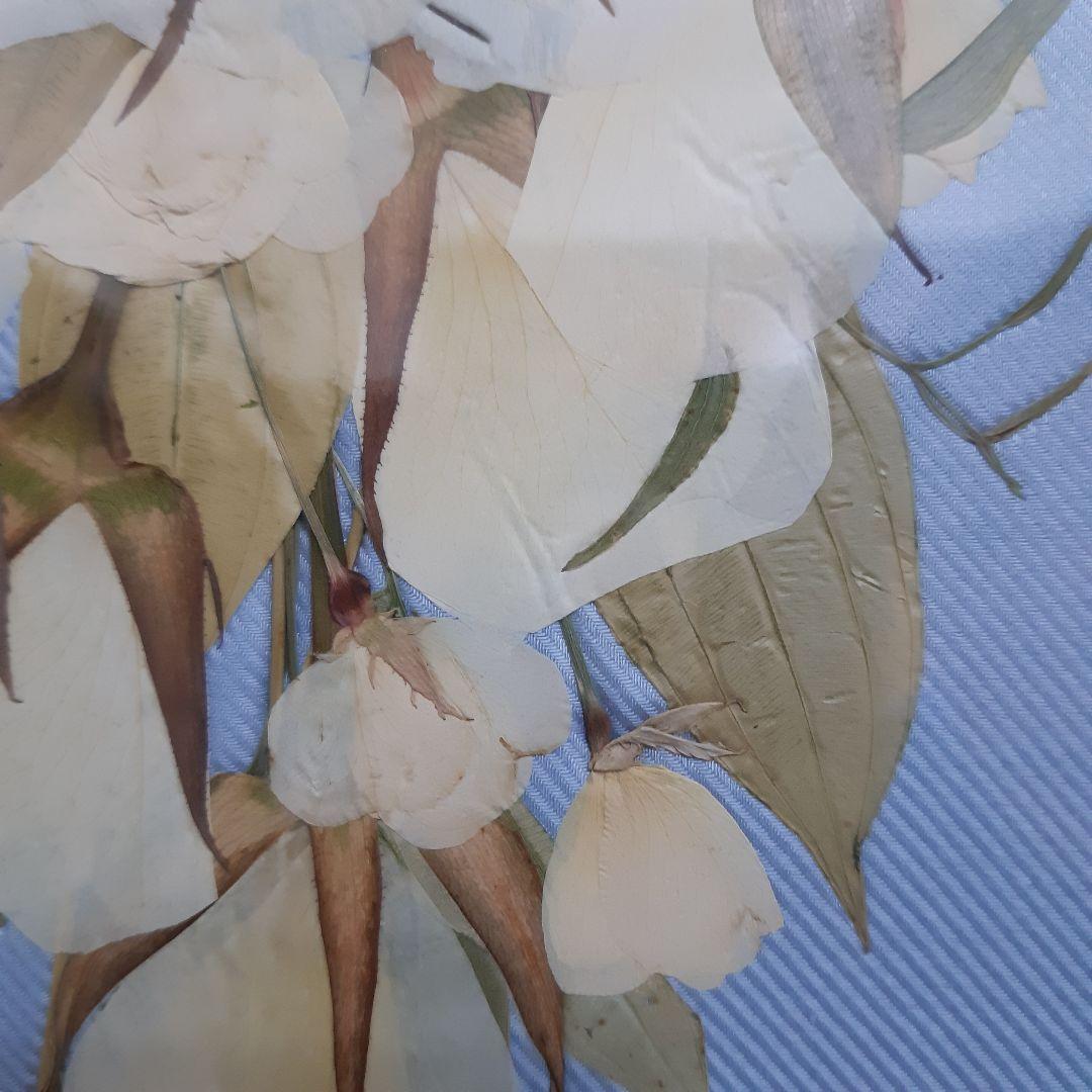 押し花アート フレーム付き　 縦65cm　横40cm