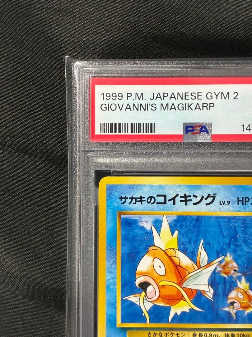 世界142枚 PSA9 サカキのコイキング 旧裏 1999 129 65