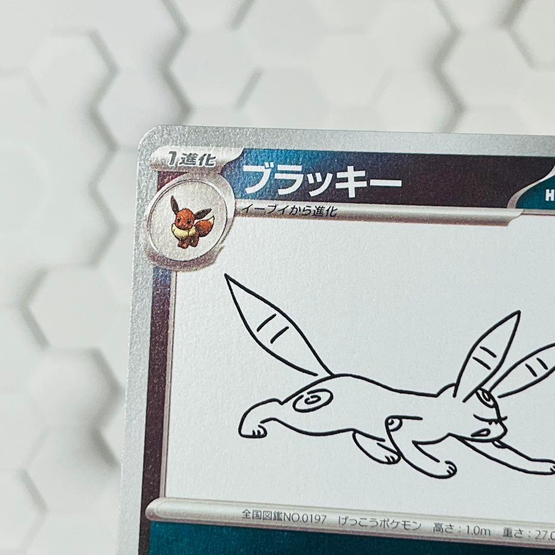 ブラッキー　プロモ