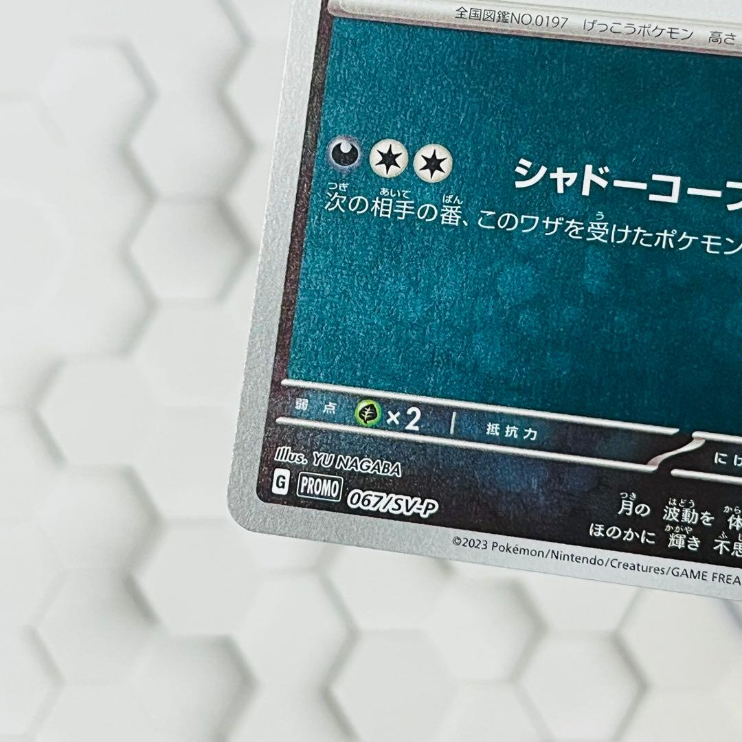 ブラッキー　プロモ