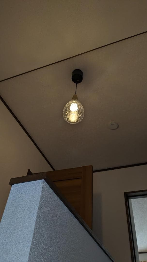 ZEKOO ペンダントライト 吊下げ照明 引っ掛シーリング式 E26口金 LEp