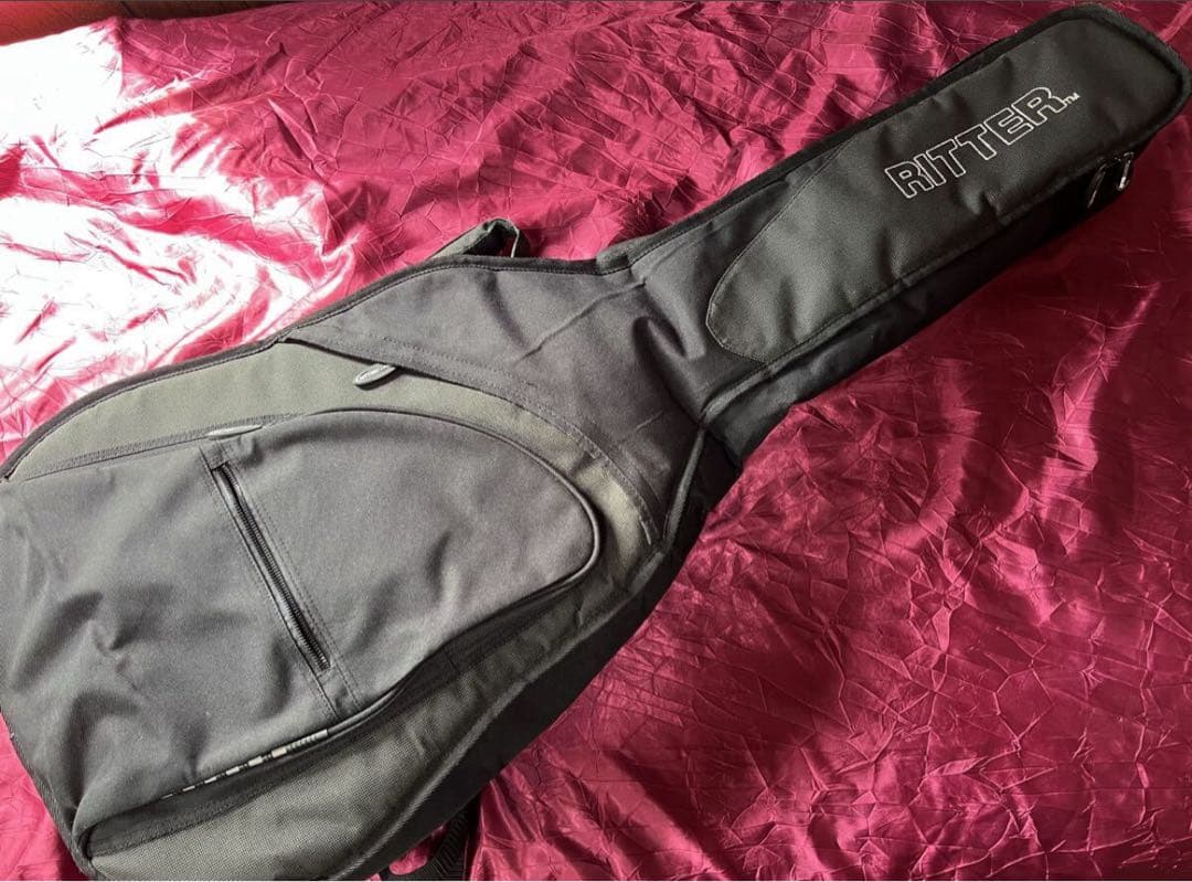 Taylor 110e テイラー エレアコ　fishmanピックアップ美品