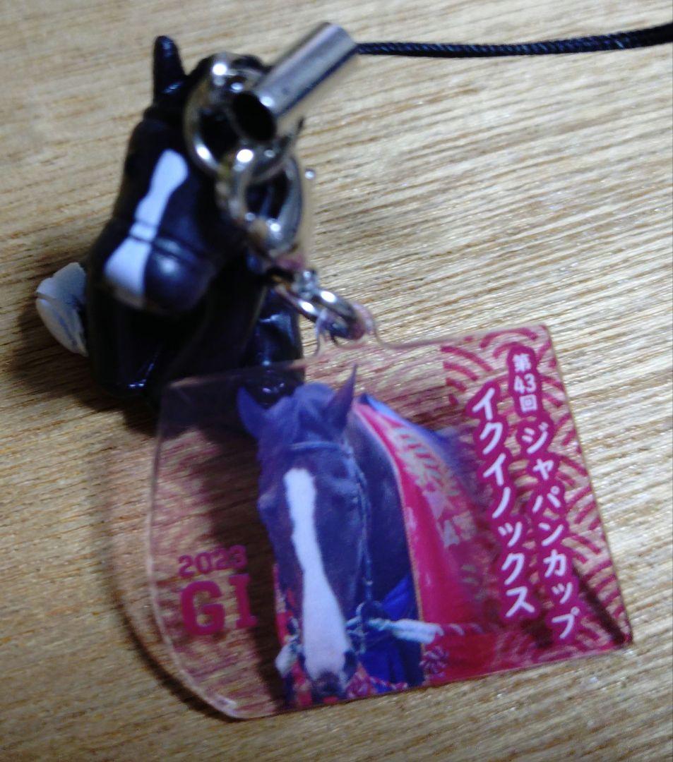 イクイノックス　第67回有馬記念、ドバイシーマクラシック、第43回ジャパンカップ