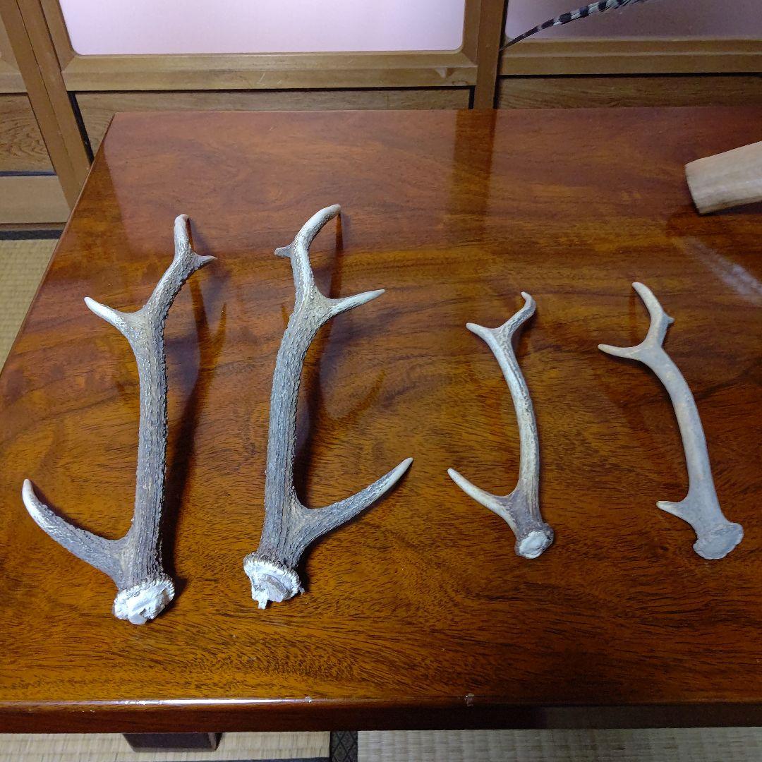 ‼️本物剥製‼️ 日本のキジ‼️プロが作成‼️オマケ付き(o^－^o)