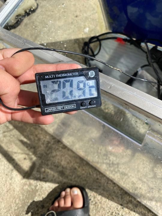 水槽セット