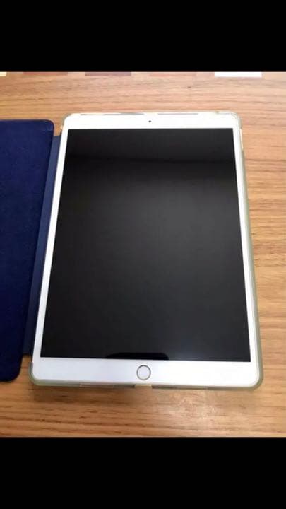 iPad Pro Wi-Fi 10.5インチ 256GB おまけ付き