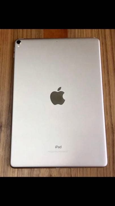 iPad Pro Wi-Fi 10.5インチ 256GB おまけ付き