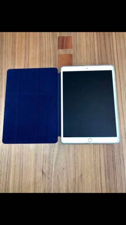 iPad Pro Wi-Fi 10.5インチ 256GB おまけ付き